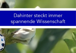 Zellregeneration und Wundheilung Zellregeneration und Wundheilung
